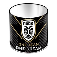 ΜΟΛΥΒΟΘΗΚΗ ΣΧΟΛΙΚΗ ΠΑΟΚ ΜΕΤΑΛΛΙΚΗ 10X11 ΕΚ.