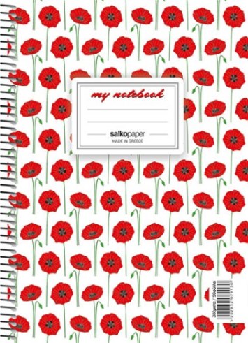 ΤΕΤΡΑΔΙΟ ΣΠΙΡΑΛ SALKO MY NOTEBOOK 17X25 60Φ 2 ΘΕΜΑΤΑ